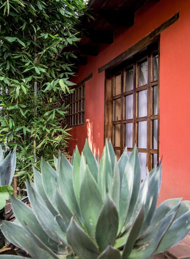Guayaba Inn Boutique Hotel San Cristóbal de Las Casas Dış mekan fotoğraf